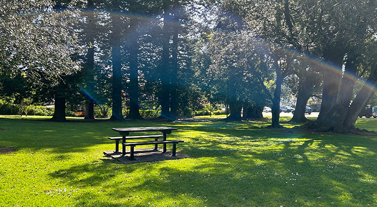 Ferndale Park - One of the picnic tables surrounded by grassed space and trees. Photo credit: S Hulse.