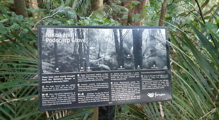 Fernglen Reserve - Sign explaining about the Nikau and Podocarp Grove.