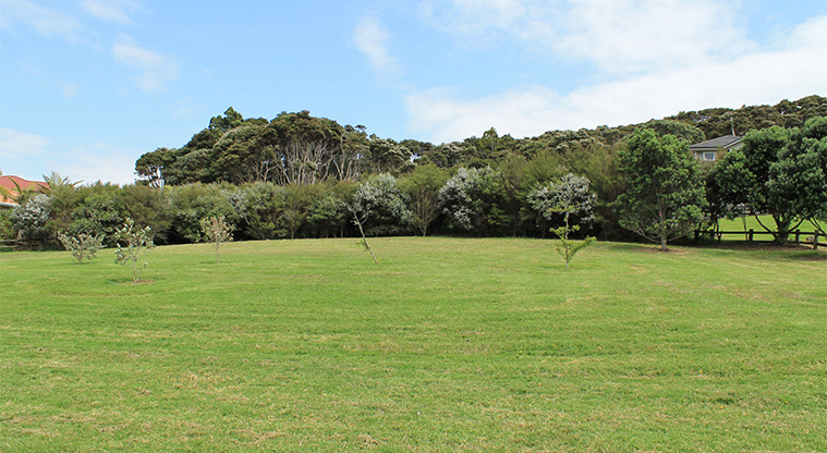 Ferry Road / Hawaiian Parade junction - Open grassed area with trees. Photo credit: M Loubser.