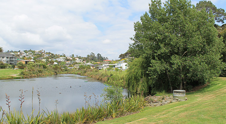 Ferry Road Stormwater Pond Reserve - Large tree beside the stormwater pond. Photo credit: M Loubser.