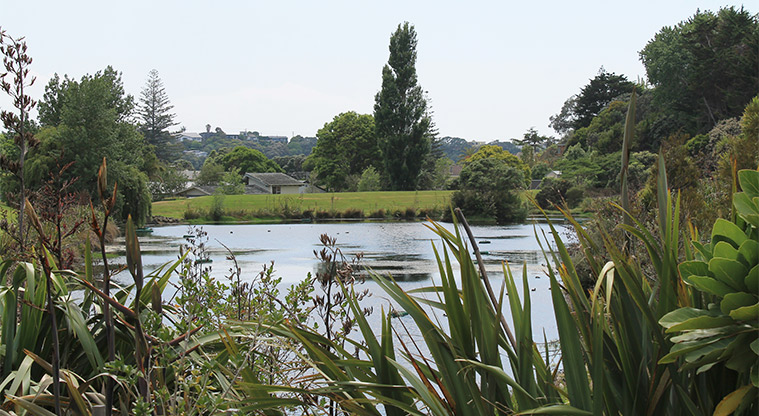 Ferry Road Stormwater Pond Reserve - Stormwater pond. Photo credit: M Loubser.