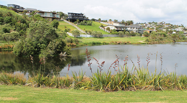Ferry Road Stormwater Pond Reserve - Stormwater pond. Photo credit: M Loubser.
