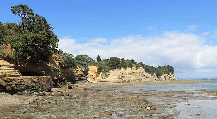 Fishermans Rock Reserve - Section of the beach. Photo credit: M Loubser.