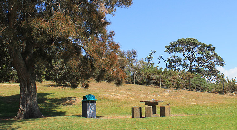 Fishermans Rock Reserve - Picnic table and rubbish bin. Photo credit: M Loubser.