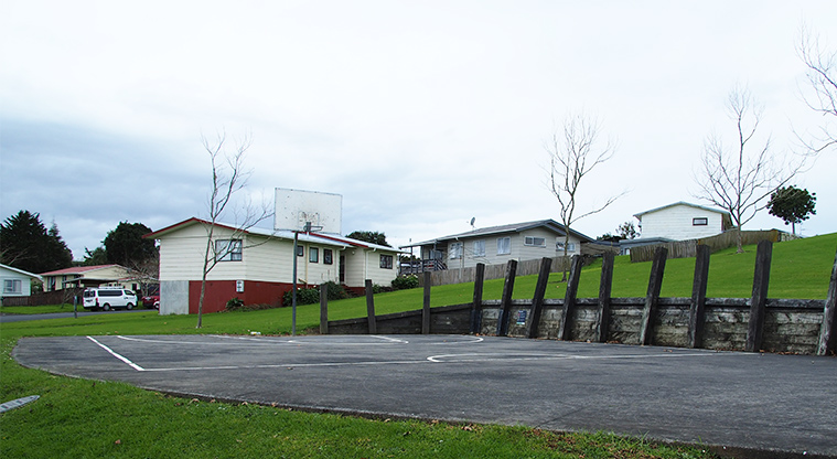 Flaunty Reserve - Basketball half-court with residential properties in the background. Photo credit: T Hodder.