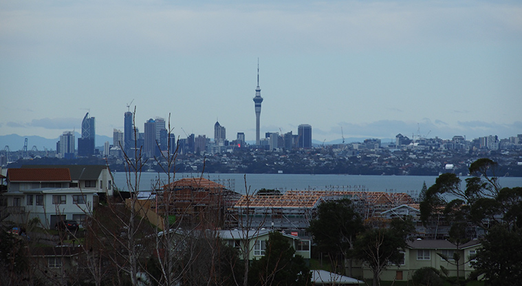 Flaunty Reserve - View from the top of the hill looking out over the city and sky tower. Photo credit: T Hodder.