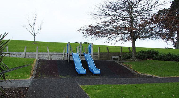 Flaunty Reserve - Two slides down the hill. Photo credit: Tracey Hodder.