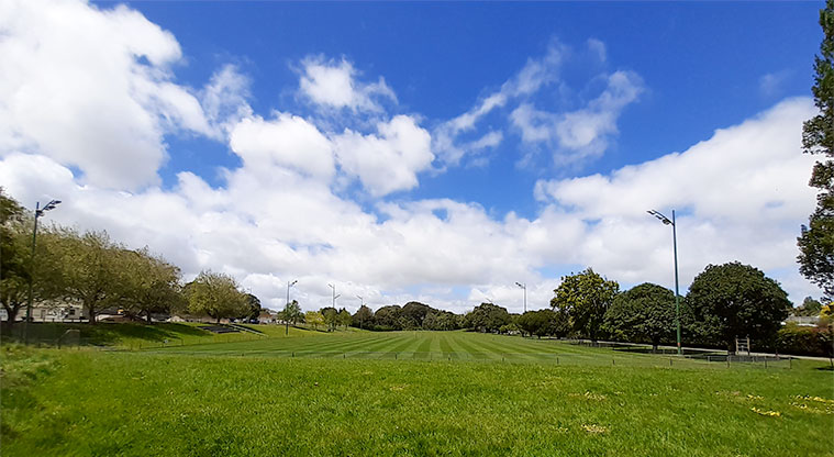 Fowlds Park - Lower field.