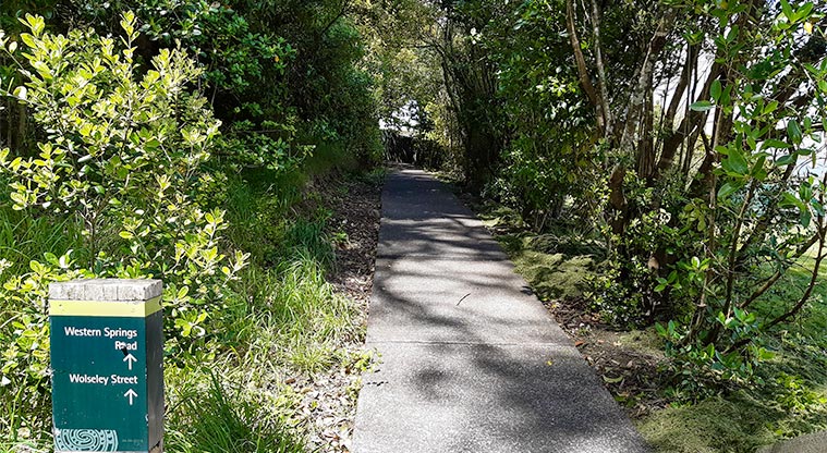 Fowlds Park - Path to Western Springs Road and Wolseley Street.