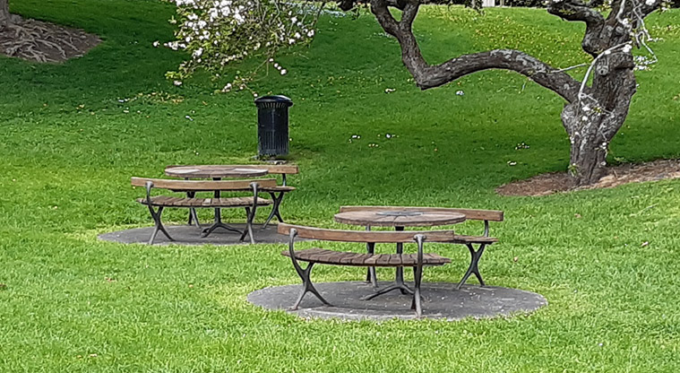 Fowlds Park - Picnic tables under the trees.