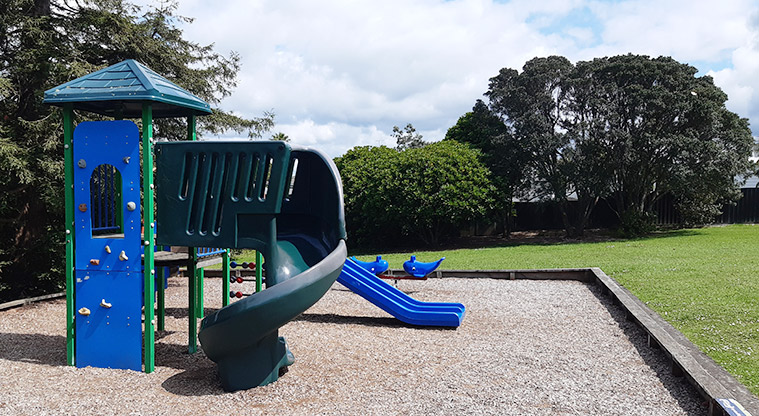 Francis Reserve - Side view of one of the play modules with climbing wall and slide. Photo credit: T Hodder.