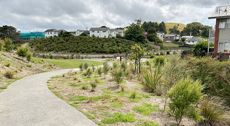 Freeland Reserve - A section of the path with young plants on both sides. Photo credit: S Hulse.