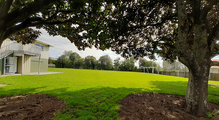 Freyberg Field - Looking under a large tree to the building and sports field in the background. Photo credit: S Hulse.