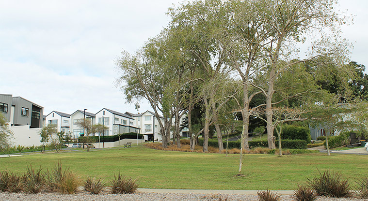 Galbraith Greens - Grassed area and trees. Photo credit: M Loubser.