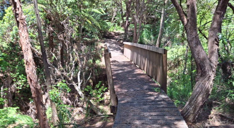 Gittos Domain - Section of track with a bridge and boardwalk with trees on both sides.