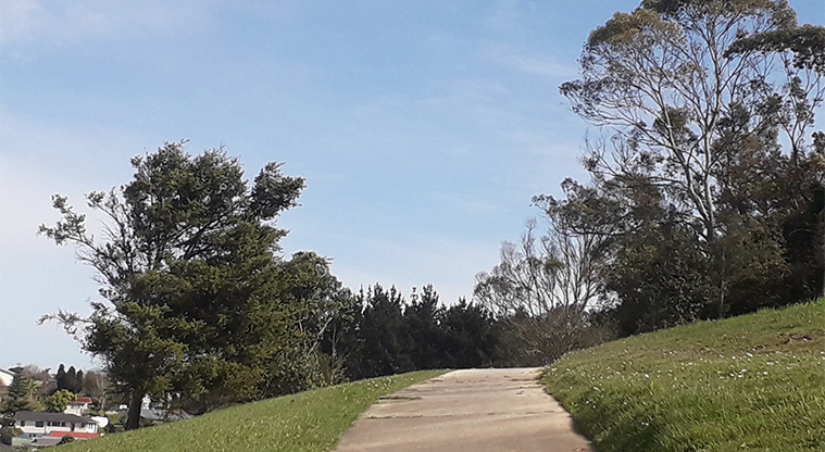 Kohuora Park - Part of a path with trees in the background.