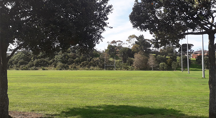 Kohuora Park - Sports fields showing goal posts and trees in the background.
