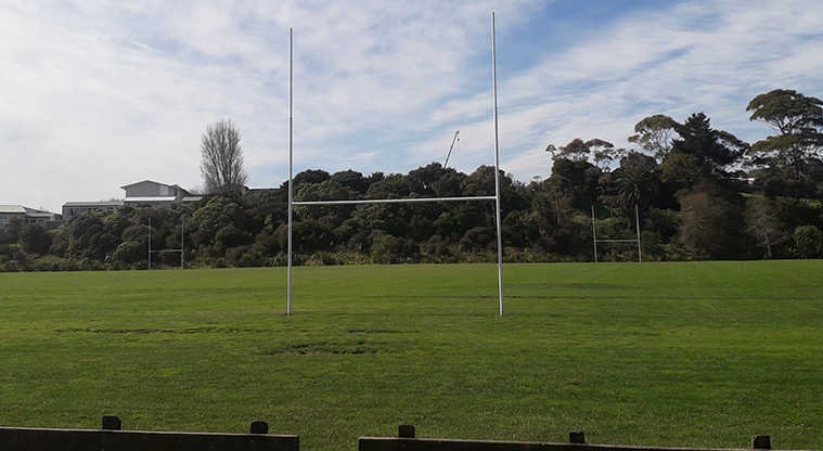 Kohuora Park - Sports field with trees in the background.
