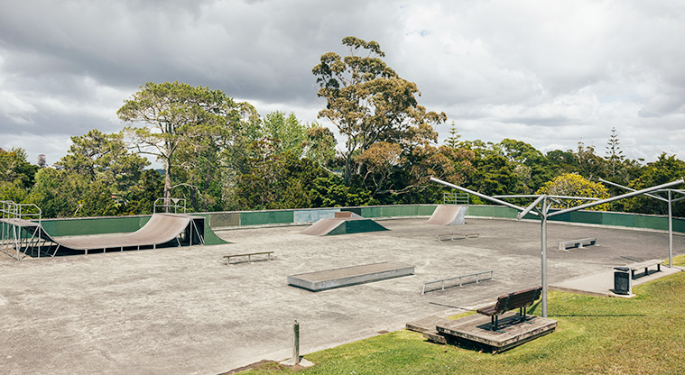 Goodall Reserve - The skate park with a variety of equipment including flat rails, grind box, pipes and ramps. Photo credit: J Farnworth.