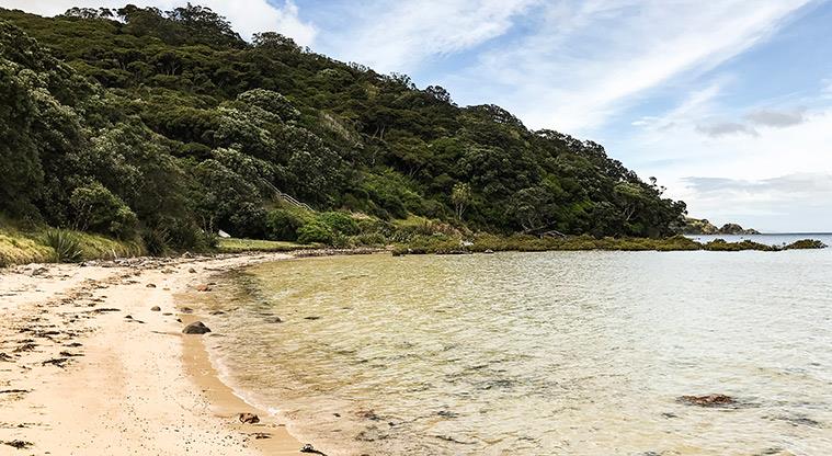 Gooseberry Flat - Section of the beach with picnic tables under a large tree.