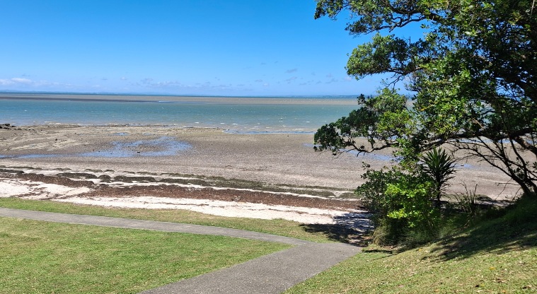 Tauihu / Green Bay Beach - View of part of the beach with path and green space. Photo credit: T Hodder.