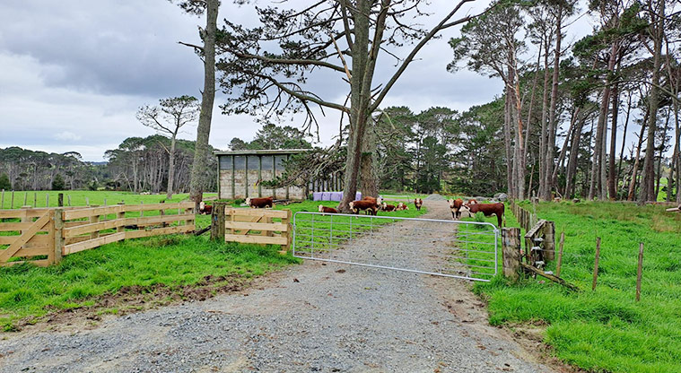 Green Road Park - One of the gates into the park with cows and trees in the background