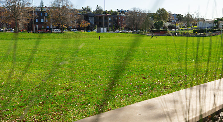 Te Kaitaka / Greenslade Reserve - Section of the sports fields with housing in the background.