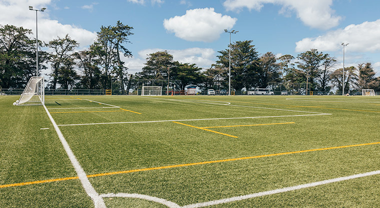 Greville Reserve - Sports fields showing the field marking, soccer goals and flood lights. Photo credit: J Farnworth.
