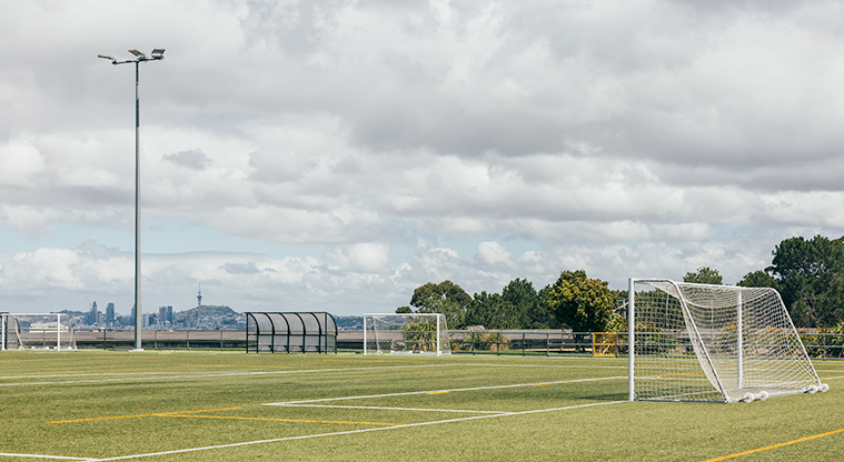 Greville Reserve - Part of the sports fields with next and flood lights. Photo credit: J Farnworth.