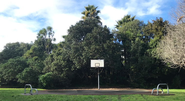 Grey Lynn Park - Basketball half-court and hoop.