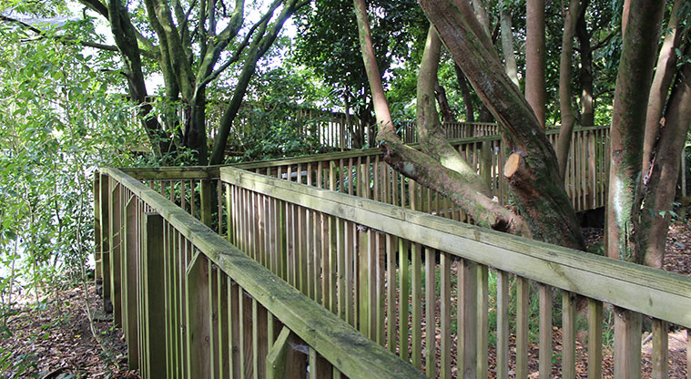 Gribblehirst Park - Section of boardwalk through the bush.