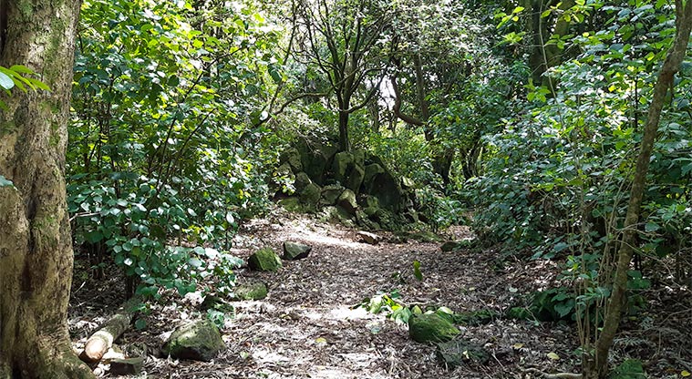 Gribblehirst Park - Bush trail in the park.