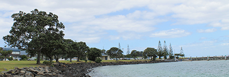 Gulf Harbour Marina Hammerhead Reserve