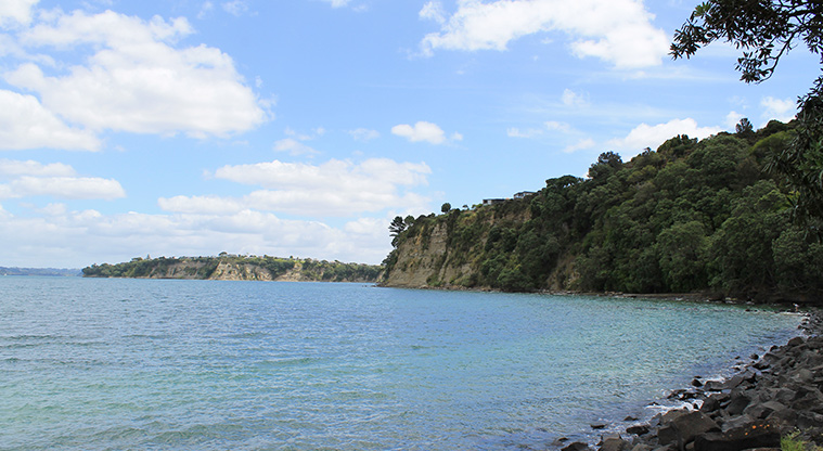 Gulf Harbour Marina Hammerhead Reserve - Looking out to Hobbs Bay. Photo credit: M Loubser.