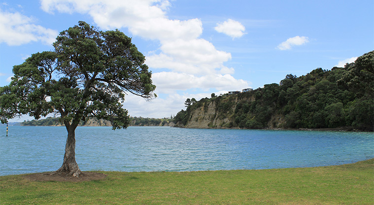 Gulf Harbour Marina Hammerhead Reserve - Looking out to Hobbs Bay. Photo credit: M Loubser.