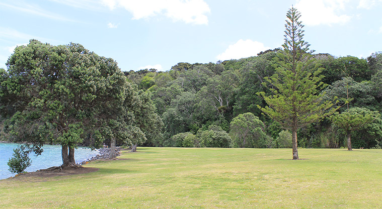 Gulf Harbour Marina Hammerhead Reserve - Open grassed area with trees. Photo credit: M Loubser.