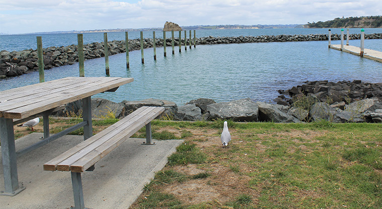 Gulf Harbour Marina Hammerhead Reserve - Picnic table overlooking the jetty and Hobbs Bay. Photo credit: M Loubser.