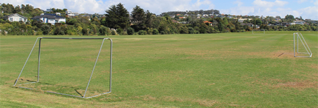 Gulf Harbour Recreation Reserve