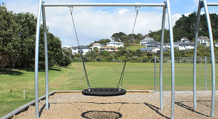 Gulf Harbour Recreation Reserve - Basket swing. Photo credit: M Loubser