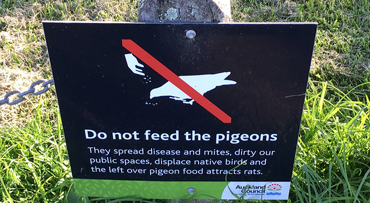 Harbutt Reserve - Sign asking people not to feed the pidgeons. Photo credit: S Hulse.