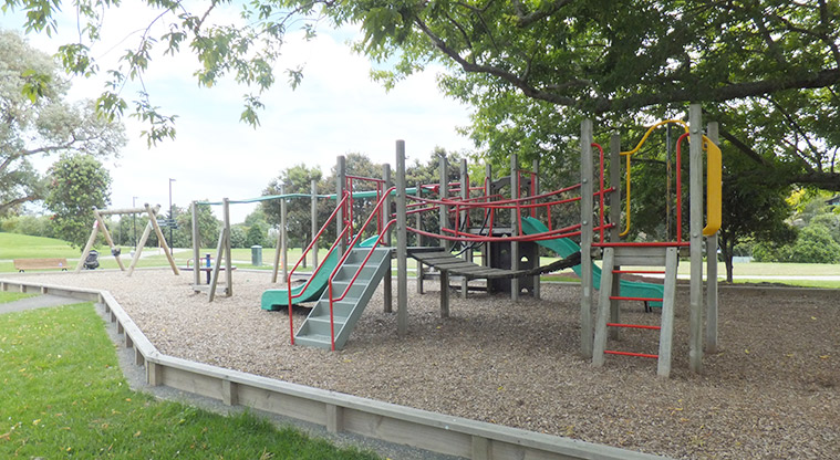 Harbutt Reserve - Playground made up of a wooden structure with steps, ladders, walking bridges and two slides, swings and spinner. Photo credit: S Hulse.