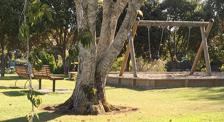 Harbutt Reserve - Part of a tree with the swing set in  the background. Photo credit: S Hulse.