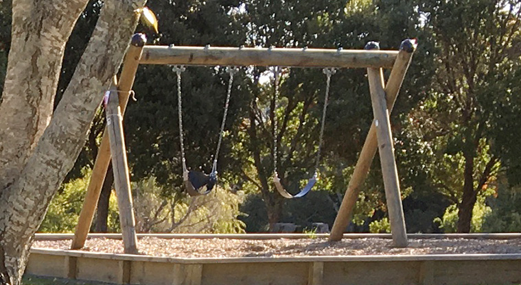 Harbutt Reserve - Set of two swings. Photo credit: J Grigg.