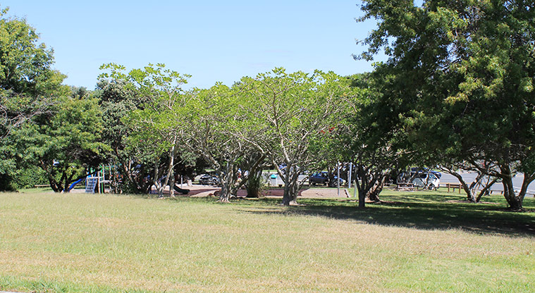 Hardley Reserve - Open grassed area with established trees. Photo credit: M Loubser.