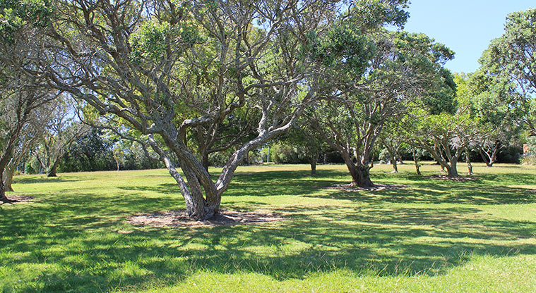 Hardley Reserve - Open grassed area with established trees. Photo credit: M Loubser.