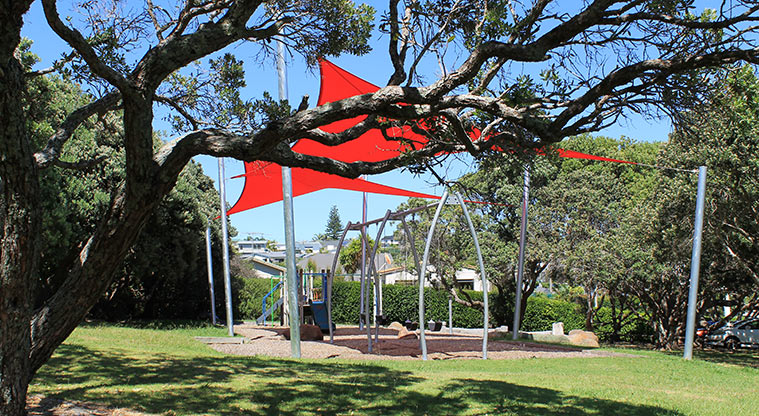 Hardley Reserve - Large old tree with the playground in the background. Photo credit: M Loubser.