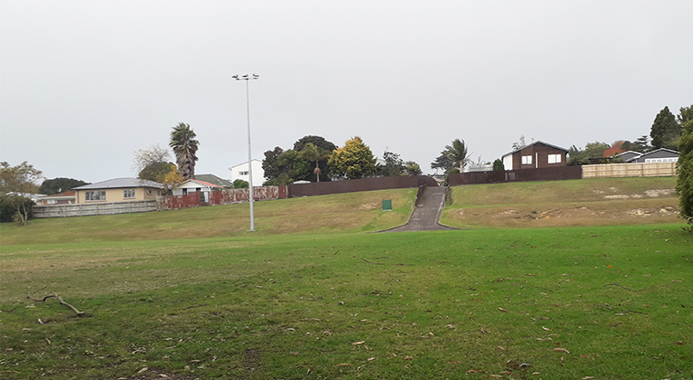 Harold Moody Reserve - Sports field with lighting in the background.