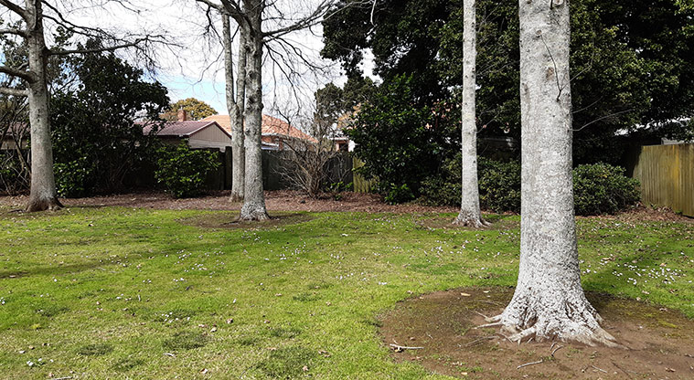Harwood Reserve - A section of the reserve with grass and established trees. Photo credit: S Hulse.