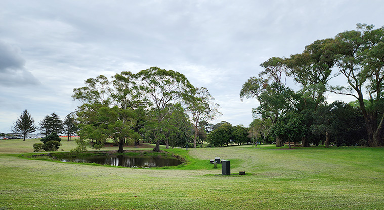 Manu-kau Noa Iho / Hayman Park - Lake in the middle of the park surrounded by open grassed space and established trees.