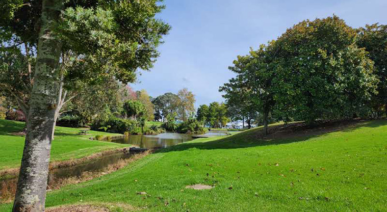 Manu-kau Noa Iho / Hayman Park - The lake surrounded by open grassed areas and trees.